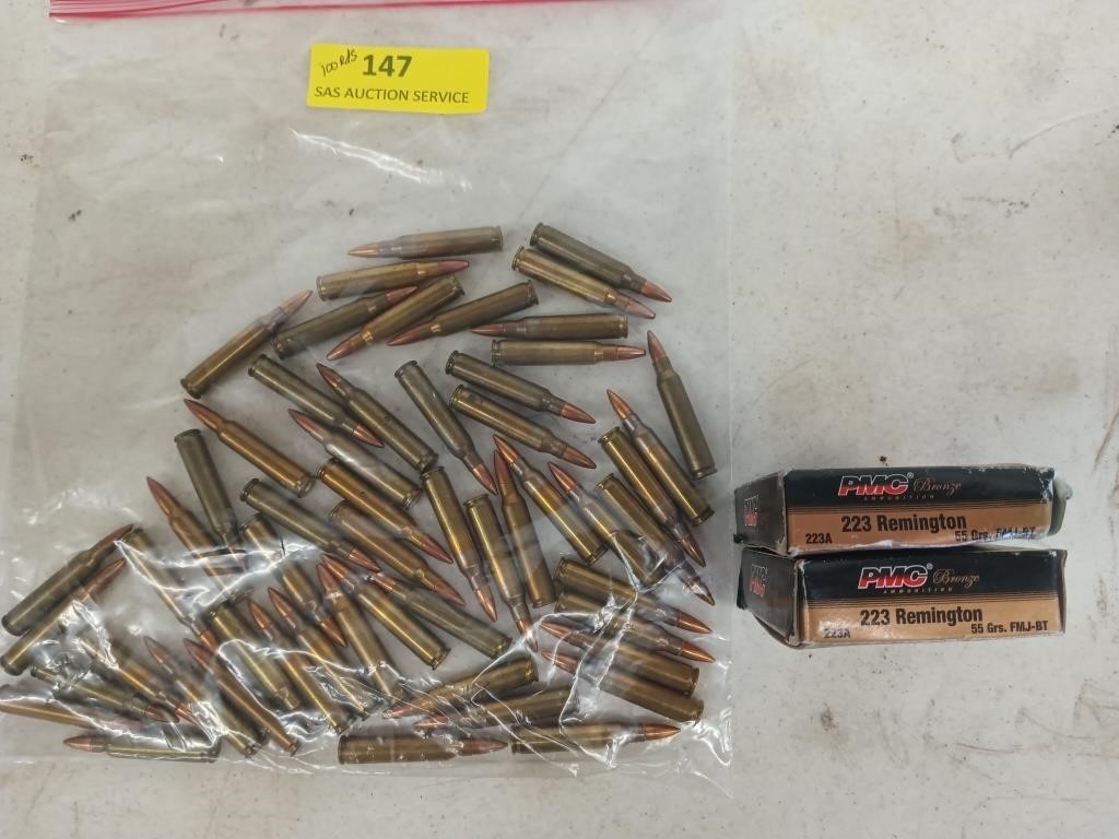 100 rounds .223 Remington