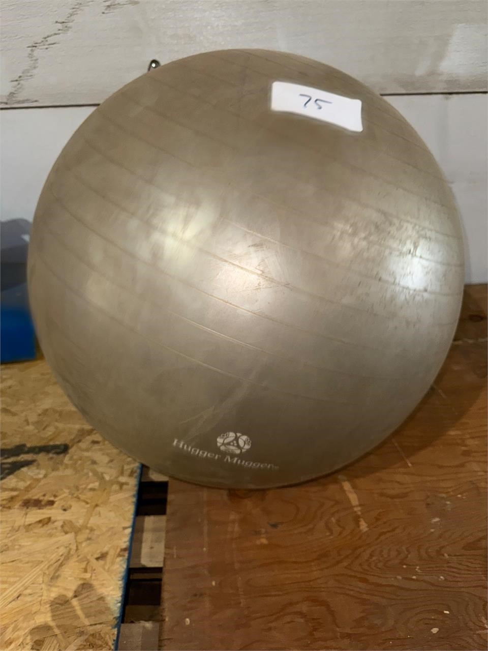 Exercise ball