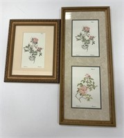 2 Framed Floral Prints 12" x 19" & 21" x 9"