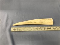 12 1/2" fossilized ivory tusk, scrimmed with spott