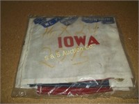 16" x 24" Iowa flag