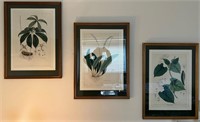 320 - 3 PIECES FRAMED ART 29.5X21.5EA