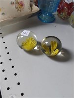 2 glass paper weights