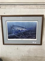 "PREDATOR" (FISH) FRAMED PICTURE, 24 X 32.5"