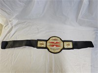 Kids Replica TNA Division Champion Belt