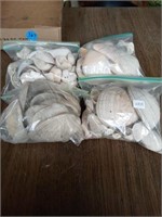 4 BAGS OF NATURAL SEA SHELLS