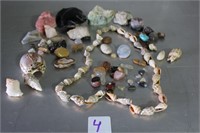 Gemstones Geodes Polished Rocks & Sea Shells