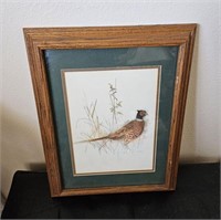 VINTAGE FRAMED BIRD PRINT 111