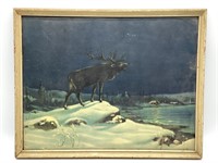 Elk Framed Print - ‘Call of the Night’ 19? x