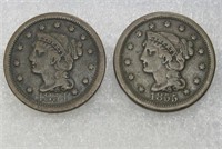 1854 & 1855 Large Cents