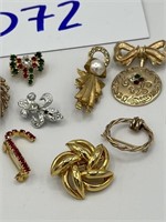 Beautiful Brooches / Pins