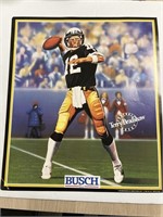 LOT OF 5 TERRY BRADSHAW POSTERS 18 inch by 15