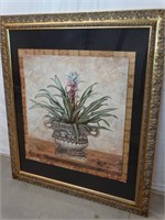 Framed, Matted Aloe Print