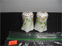 White with floral design Salt and Pepper Shakers
