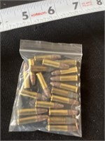 20 rounds ammo