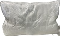 Weatherproof Queen Size Pillows 2-Pack ^