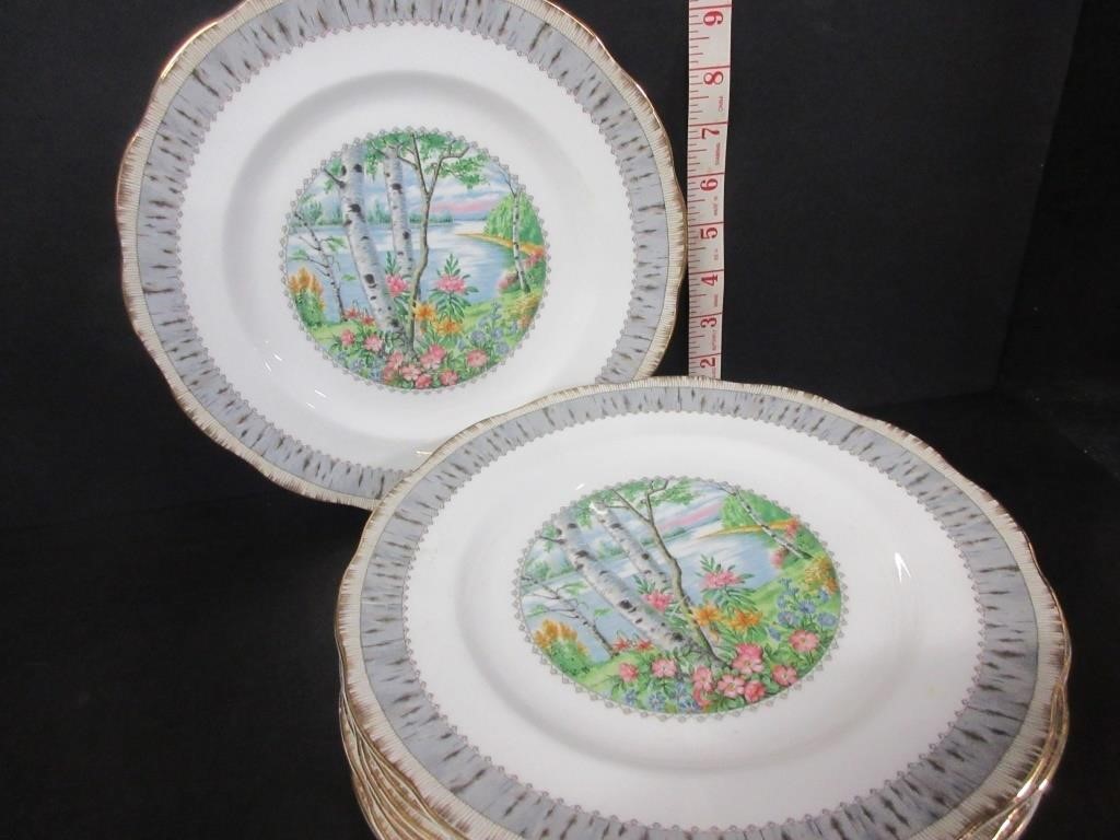 8-ROYAL ALBERT 'SILVER BIRCH' 7.5" DINNER PLATES