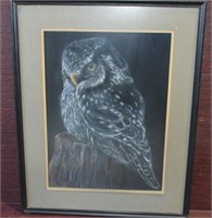 Framed Owl Sketch Signed Dorak  21" x  17"