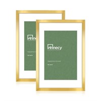 Annecy 16x24 Picture Frame Gold(2 Pack), 16 x 24
