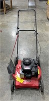 Push mover with Briggs & Stratton engine