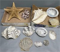 Seashells & Starfish Nautical Beach House Decor