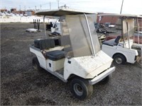Taylor Dunn Electric Golf Cart