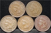 5 Nice Indian Head Pennies