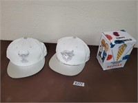 Sports hats/ collectables lot