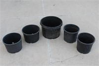 Assorted Plastic Tree/Shrub Pots