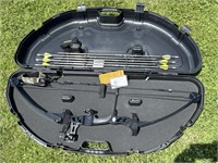 Compound Bow With Field Tipped Arrows