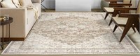 BILEEHOME 6X9FT AREA RUG