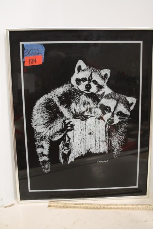 Campbell Framed Raccoon Print