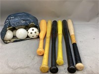 Plastic Baseball Bats & Balls