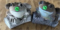 Pair of Frogs