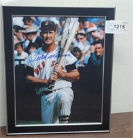 Ted Williams signed 8x10 framed photo