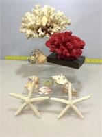 Coral, seashells and starfish.
