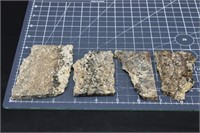 Turritella Agate, 4 Pieces, 8oz