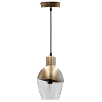 1-Light Gold Pendant with Glass Shade