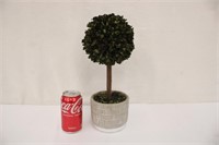 14" Decorative Topiary