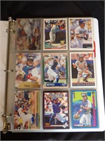 Mike Piazza Binder of 75 cards including Rookies