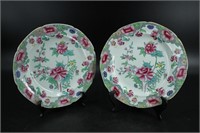 Pair English 19th C. Ironstone Plates