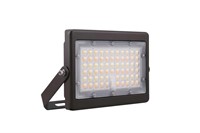 CSC LED Mini Flood Light - NEW $110