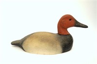 Herters canvasback