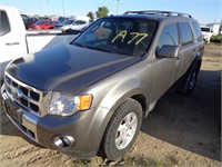 2010 FORD ESCAPE