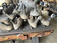 8 - Canadian Goose Decoys