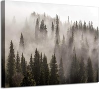 45"x30" Foggy Forest Picture Wall Art