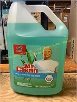 1gal Mr Clean