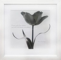 Art – La Belle Tulip I
