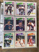 1988-89 Opc Hockey Binder 400+ Cards