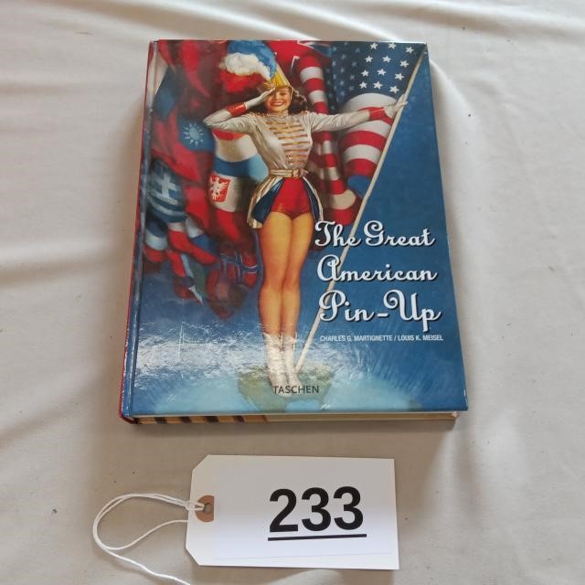 American pin ups book